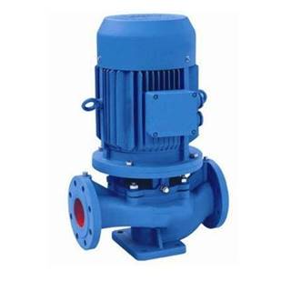 Inline water pump with an AC induction motor