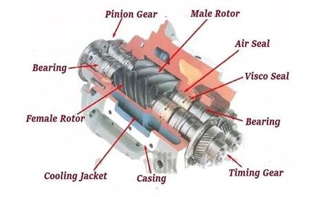 showing various parts of a positive displacement screw gear pump
