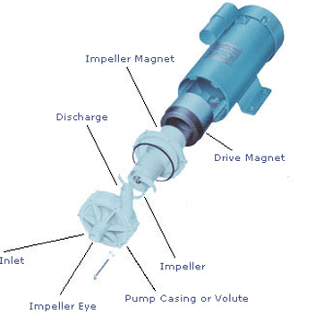 Showing a magnetic drive vertical axial flow pump