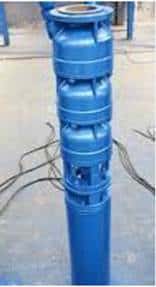 showing the configuration of a submersible borehole pump