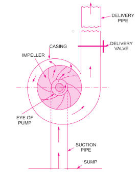 Working of a vertical inline centrifugal pump