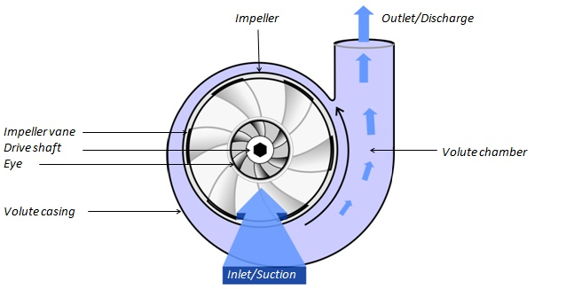 Working of an end suction back pull-out centrifugal pump work.