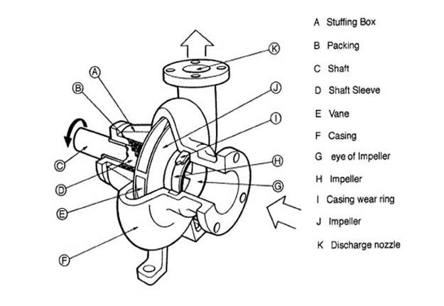Components of an electric water transfer pump