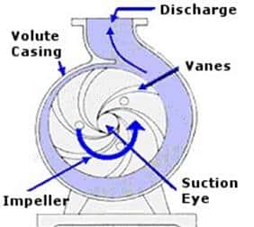 Showing the volute casing design