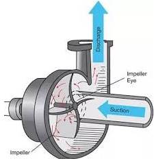Working of a centrifugal Monoblock water pump